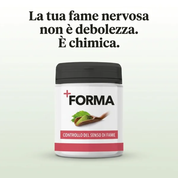 +forma-hero